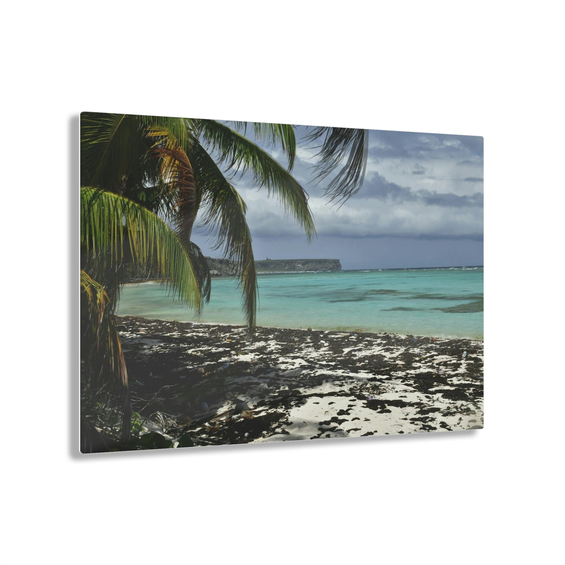 Acrylic Prints - US Made - Ideal for a Stunning Home/Office Decor Ideas - Inspirations from Nature - Remote Mona island - Pajaros Beach & Plateau - Green Forest Home