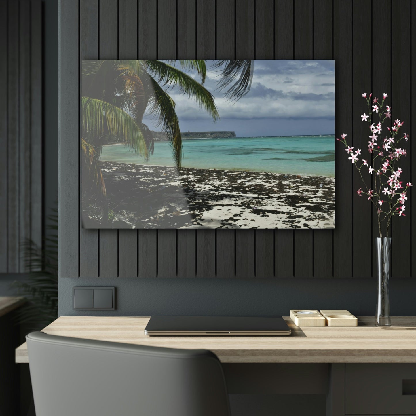 Acrylic Prints - US Made - Ideal for a Stunning Home/Office Decor Ideas - Inspirations from Nature - Remote Mona island - Pajaros Beach & Plateau - Green Forest Home