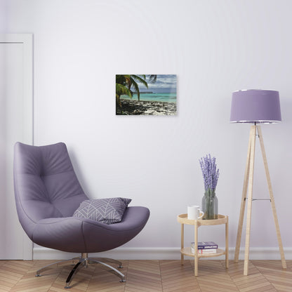 Acrylic Prints - US Made - Ideal for a Stunning Home/Office Decor Ideas - Inspirations from Nature - Remote Mona island - Pajaros Beach & Plateau - Green Forest Home