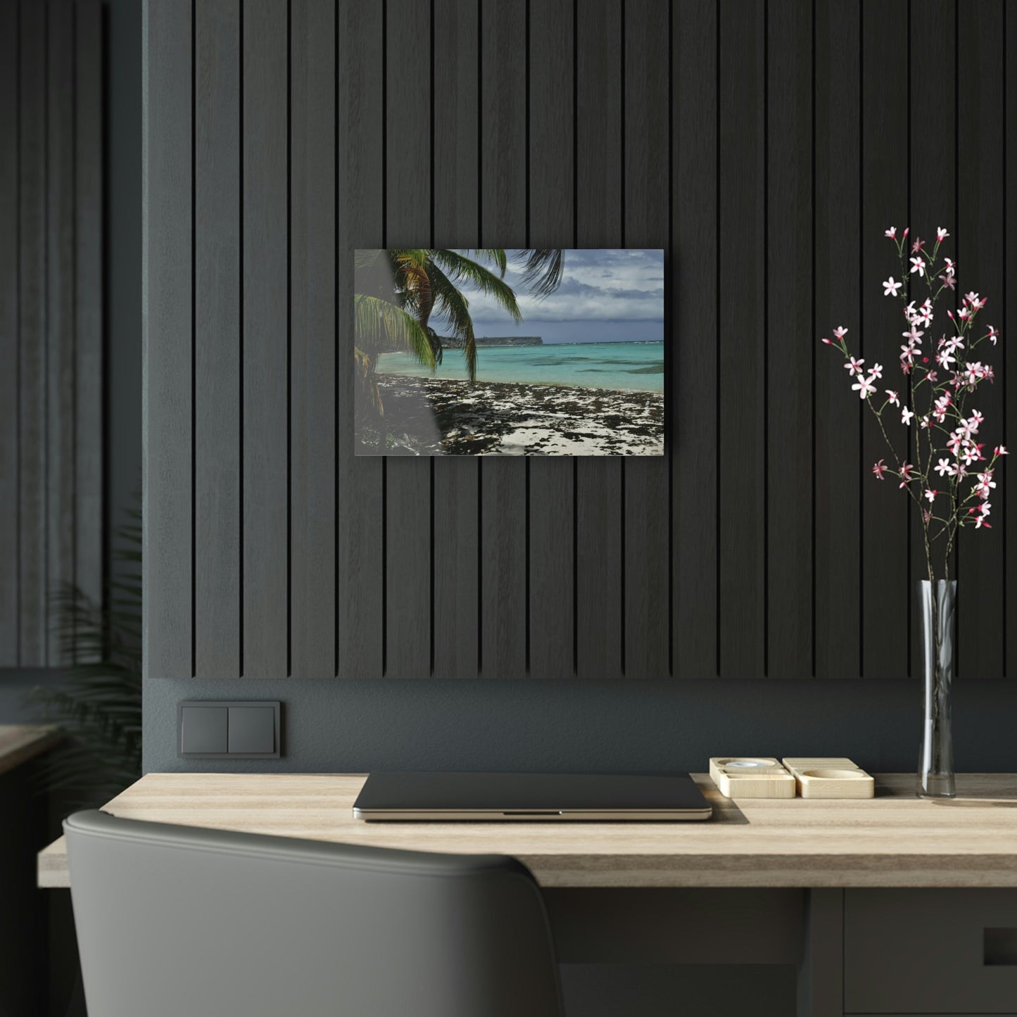 Acrylic Prints - US Made - Ideal for a Stunning Home/Office Decor Ideas - Inspirations from Nature - Remote Mona island - Pajaros Beach & Plateau - Green Forest Home