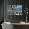 Acrylic Prints - US Made - Ideal for a Stunning Home/Office Decor Ideas - Inspirations from Nature - Remote Mona island - Pajaros Beach & Plateau - Green Forest Home