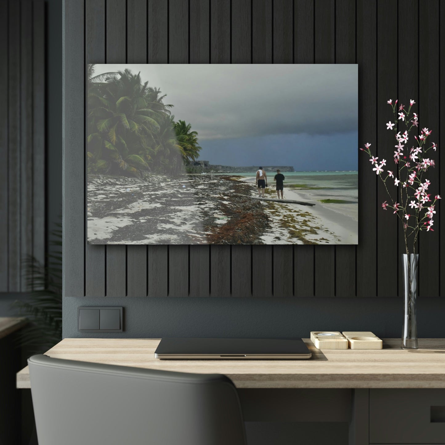 Acrylic Prints - US Made - Ideal for a Stunning Home/Office Decor Ideas - Inspirations from Nature - Remote Mona island - PR Sierra Club members share the beach - Green Forest Home