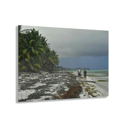 Acrylic Prints - US Made - Ideal for a Stunning Home/Office Decor Ideas - Inspirations from Nature - Remote Mona island - PR Sierra Club members share the beach - Green Forest Home