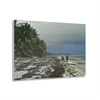 Acrylic Prints - US Made - Ideal for a Stunning Home/Office Decor Ideas - Inspirations from Nature - Remote Mona island - PR Sierra Club members share the beach - Green Forest Home