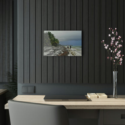Acrylic Prints - US Made - Ideal for a Stunning Home/Office Decor Ideas - Inspirations from Nature - Remote Mona island - PR Sierra Club members share the beach - Green Forest Home