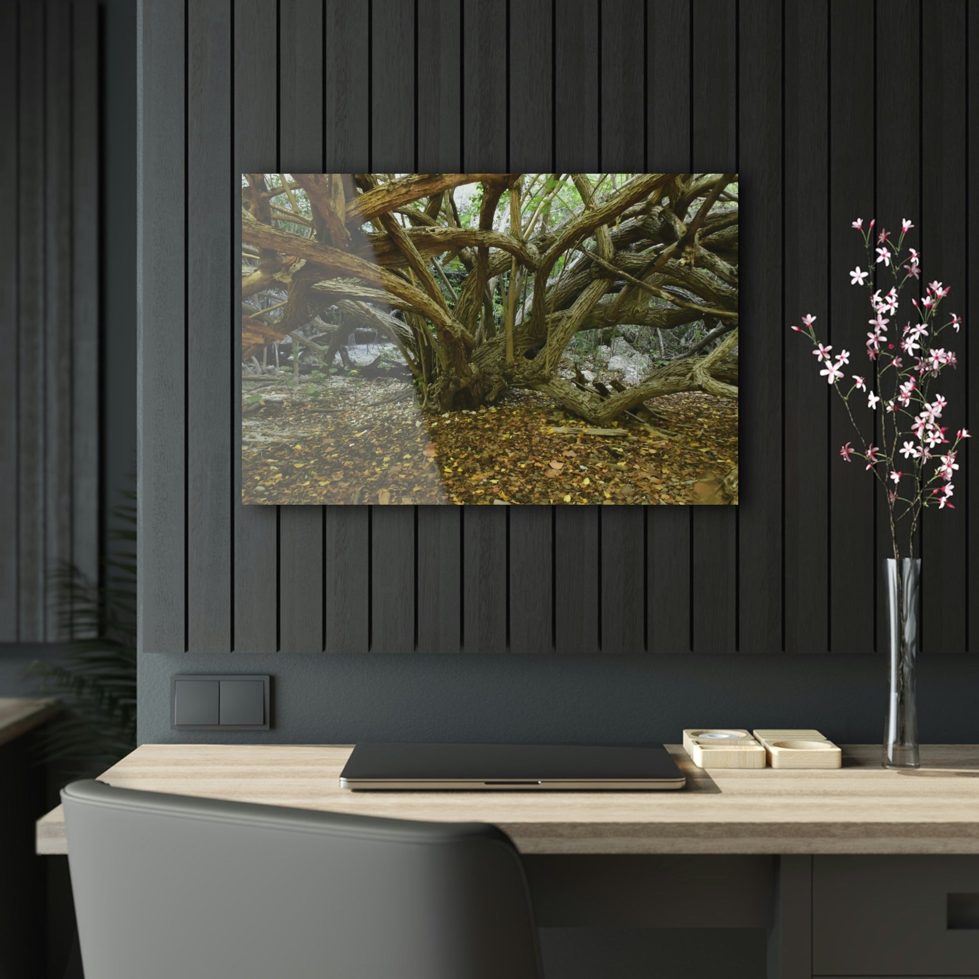 Acrylic Prints - US Made - Ideal for a Stunning Home/Office Decor Ideas - Inspirations from Nature - Remote Mona island Radiating Trees Close to Beach - Green Forest Home