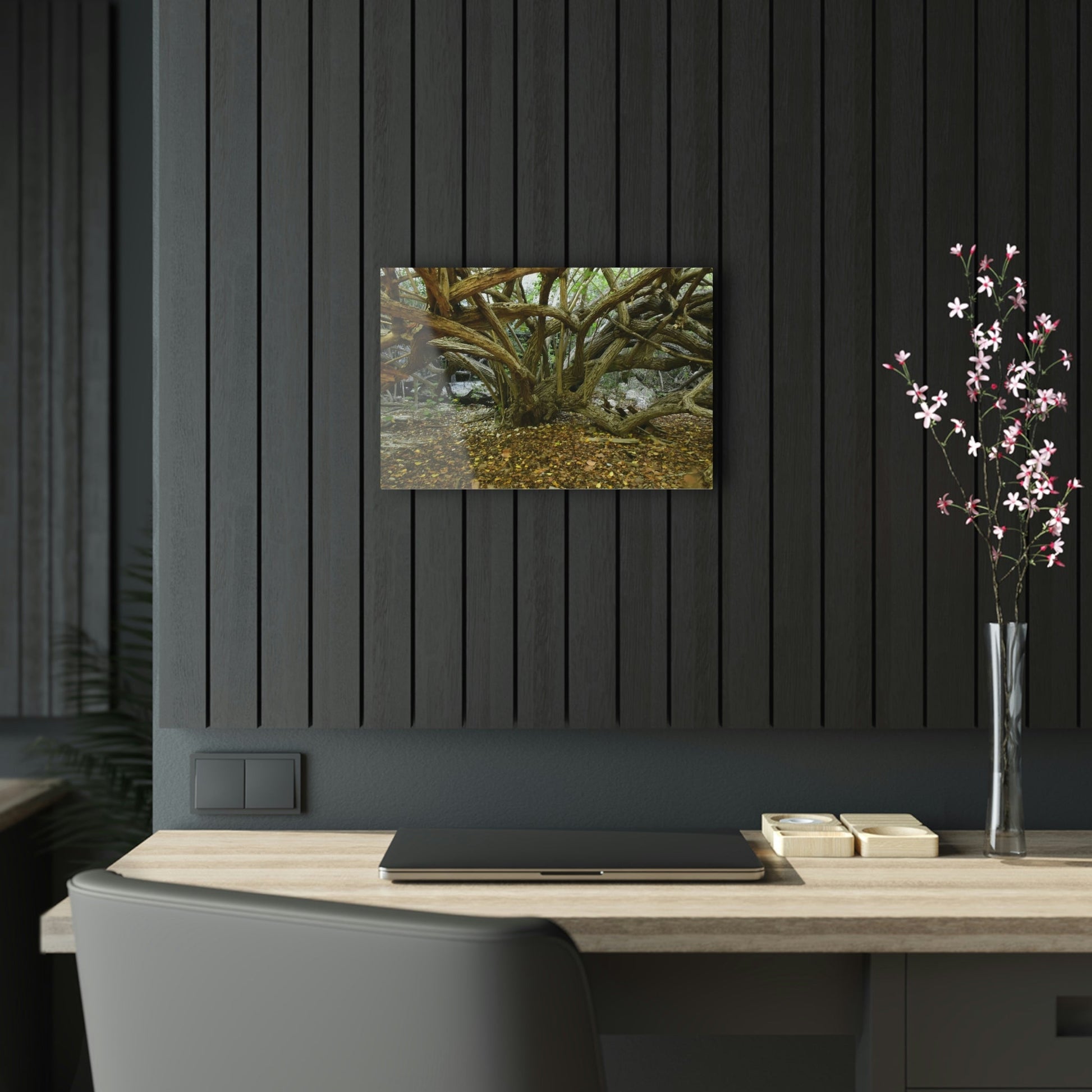 Acrylic Prints - US Made - Ideal for a Stunning Home/Office Decor Ideas - Inspirations from Nature - Remote Mona island Radiating Trees Close to Beach - Green Forest Home