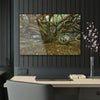 Acrylic Prints - US Made - Ideal for a Stunning Home/Office Decor Ideas - Inspirations from Nature - Remote Mona island Radiating Trees Close to Beach - Green Forest Home