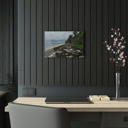 Acrylic Prints - US Made - Ideal for a Stunning Home/Office Decor Ideas - Inspirations from Nature - Remote Mona island - Rare Rainy Days - Green Forest Home