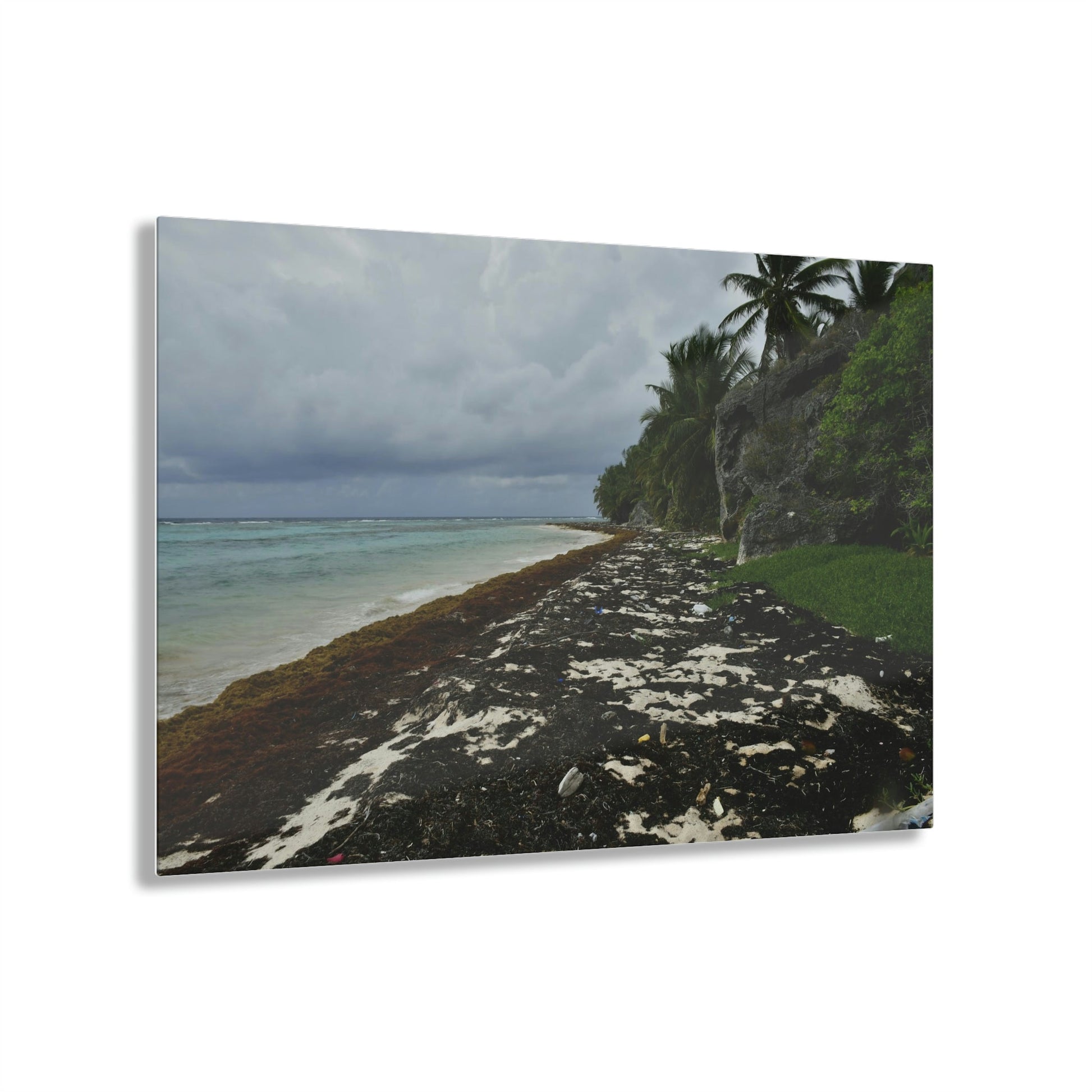 Acrylic Prints - US Made - Ideal for a Stunning Home/Office Decor Ideas - Inspirations from Nature - Remote Mona island - Rare Rainy Days - Green Forest Home