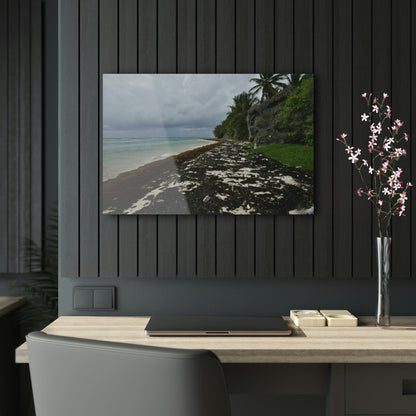 Acrylic Prints - US Made - Ideal for a Stunning Home/Office Decor Ideas - Inspirations from Nature - Remote Mona island - Rare Rainy Days - Green Forest Home