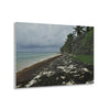 Acrylic Prints - US Made - Ideal for a Stunning Home/Office Decor Ideas - Inspirations from Nature - Remote Mona island - Rare Rainy Days - Green Forest Home