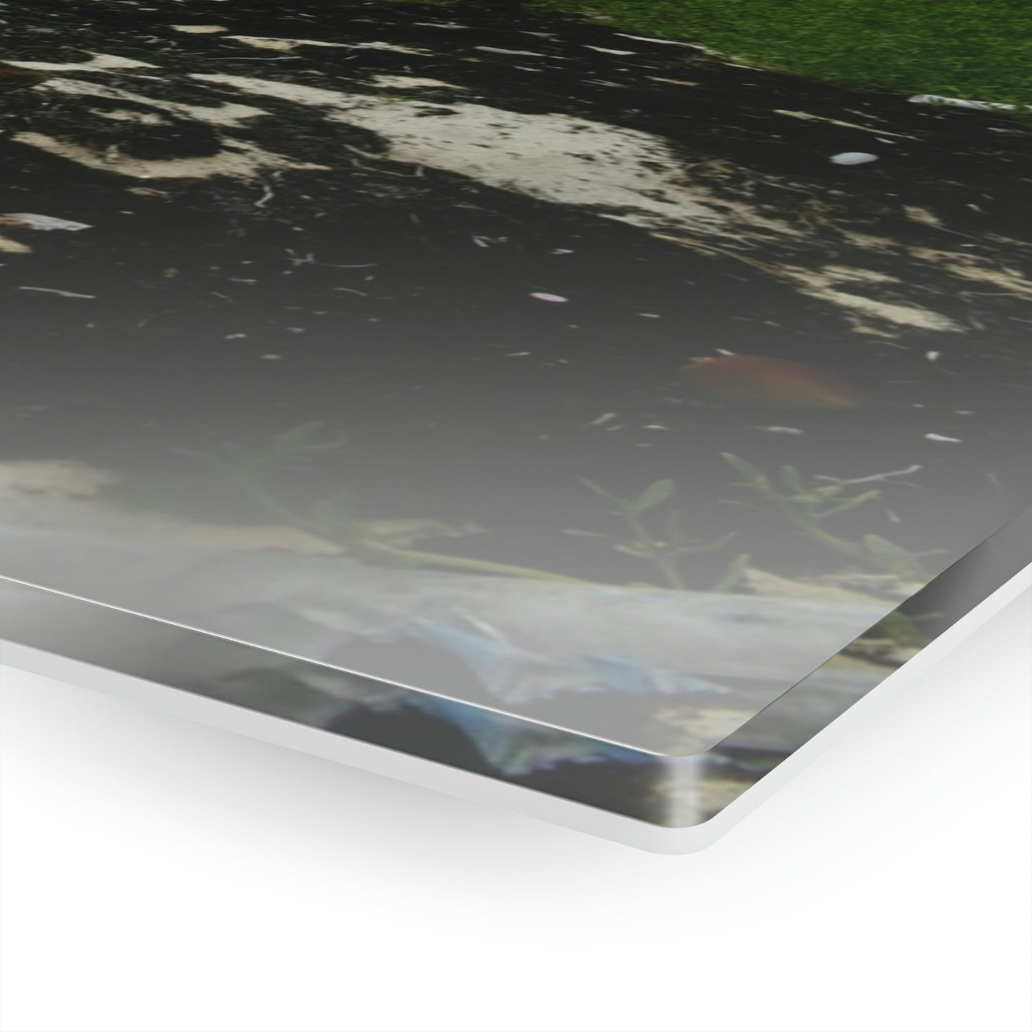 Acrylic Prints - US Made - Ideal for a Stunning Home/Office Decor Ideas - Inspirations from Nature - Remote Mona island - Rare Rainy Days - Green Forest Home