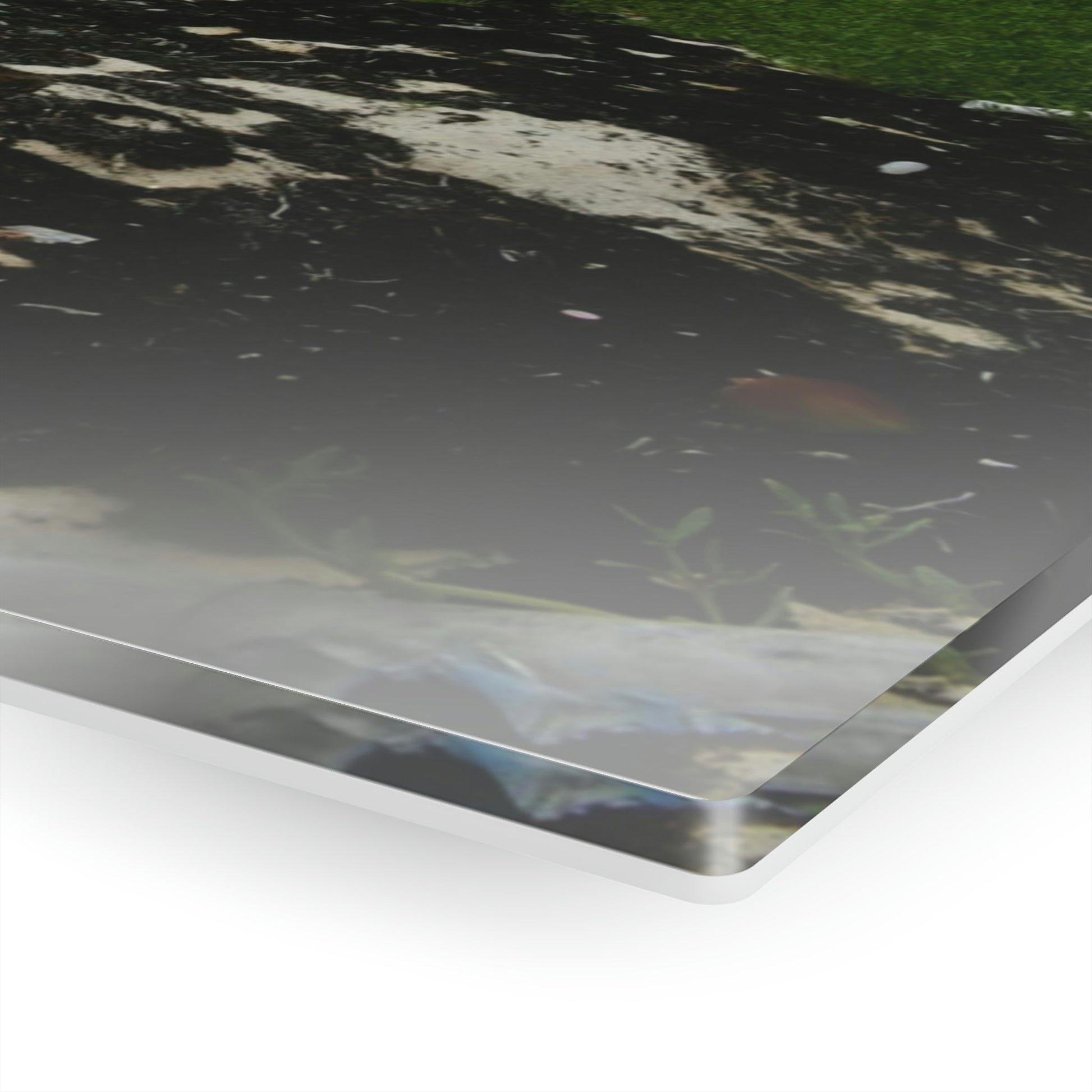 Acrylic Prints - US Made - Ideal for a Stunning Home/Office Decor Ideas - Inspirations from Nature - Remote Mona island - Rare Rainy Days - Green Forest Home