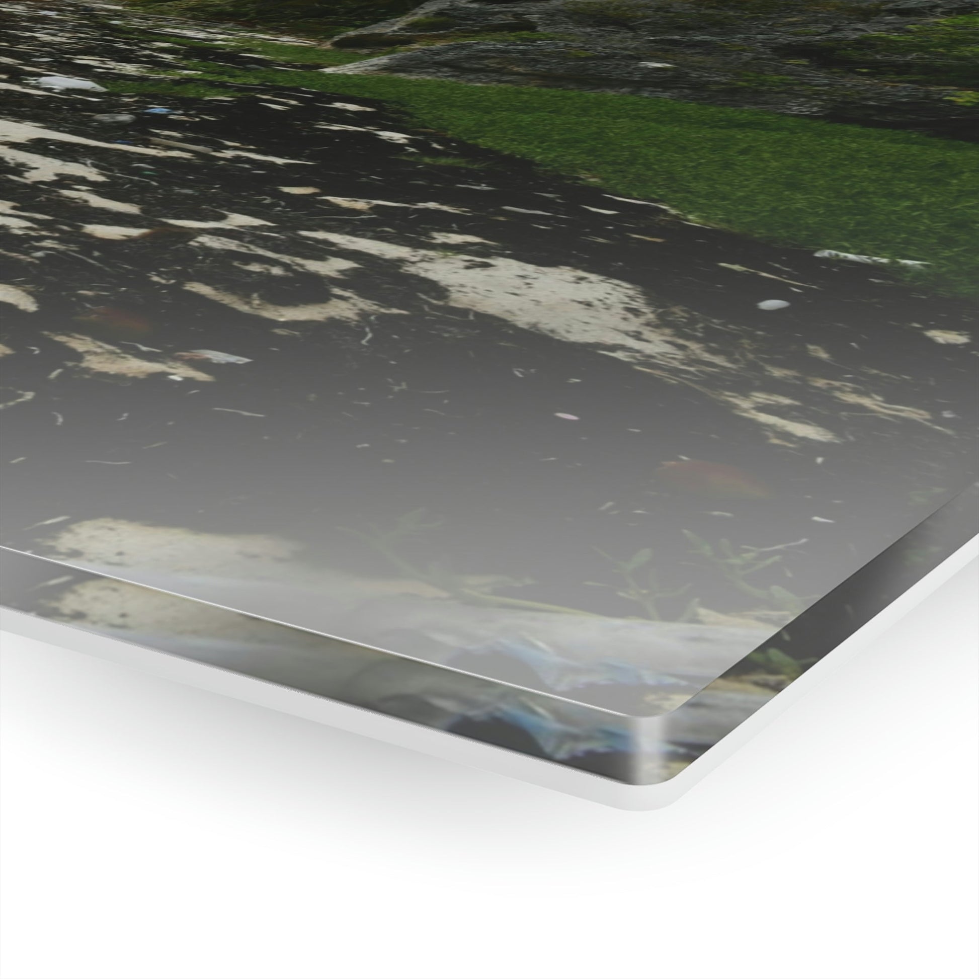 Acrylic Prints - US Made - Ideal for a Stunning Home/Office Decor Ideas - Inspirations from Nature - Remote Mona island - Rare Rainy Days - Green Forest Home