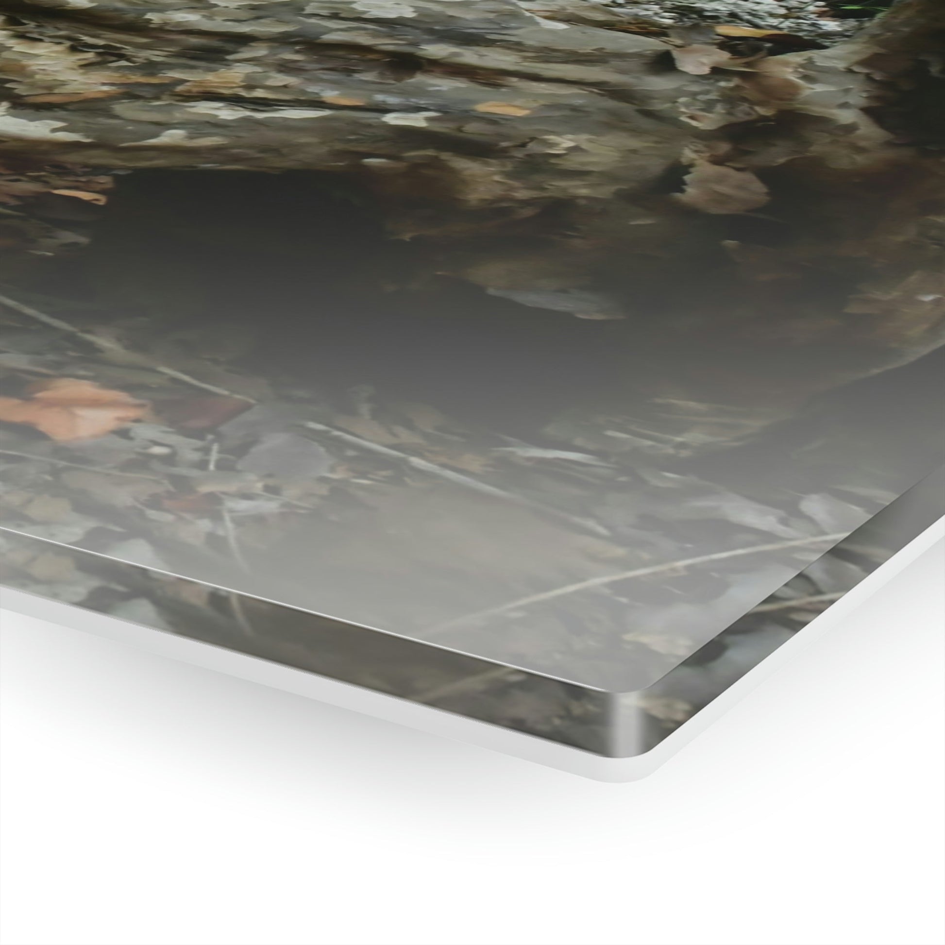 Acrylic Prints - US Made - Ideal for a Stunning Home/Office Decor Ideas - Inspirations from Nature - Remote Mona island - Rock hard Uvero Tree near beach - Green Forest Home