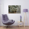 Acrylic Prints - US Made - Ideal for a Stunning Home/Office Decor Ideas - Inspirations from Nature - Remote Mona island - Rock hard Uvero Tree near beach - Green Forest Home