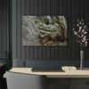 Acrylic Prints - US Made - Ideal for a Stunning Home/Office Decor Ideas - Inspirations from Nature - Remote Mona island - Rock hard Uvero Tree near beach - Green Forest Home