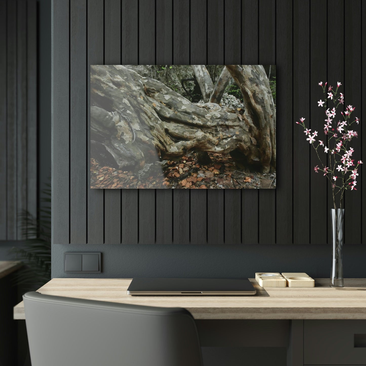 Acrylic Prints - US Made - Ideal for a Stunning Home/Office Decor Ideas - Inspirations from Nature - Remote Mona island - Rock hard Uvero Tree near beach - Green Forest Home