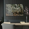 Acrylic Prints - US Made - Ideal for a Stunning Home/Office Decor Ideas - Inspirations from Nature - Remote Mona island - Rock hard Uvero Tree near beach - Green Forest Home