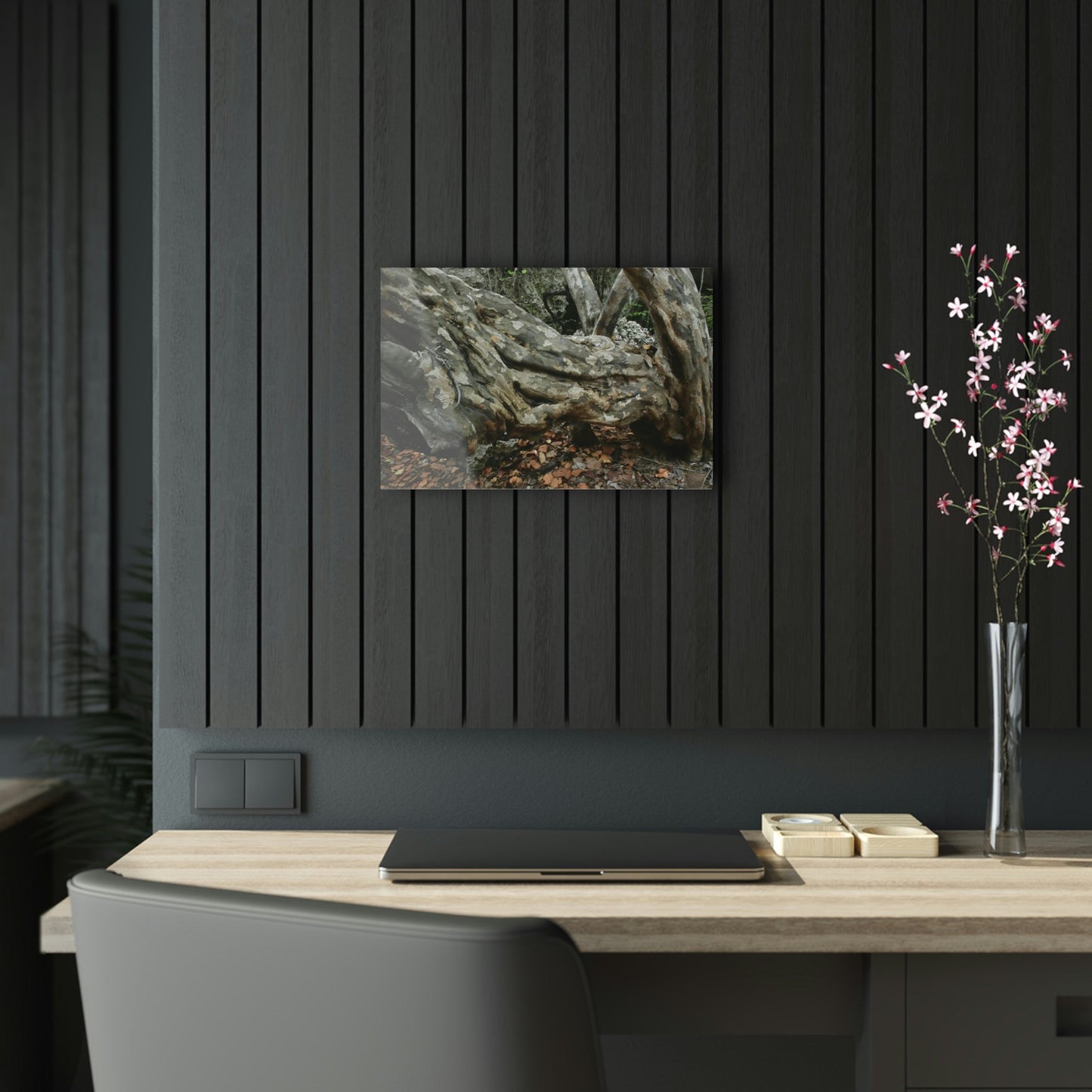 Acrylic Prints - US Made - Ideal for a Stunning Home/Office Decor Ideas - Inspirations from Nature - Remote Mona island - Rock hard Uvero Tree near beach - Green Forest Home