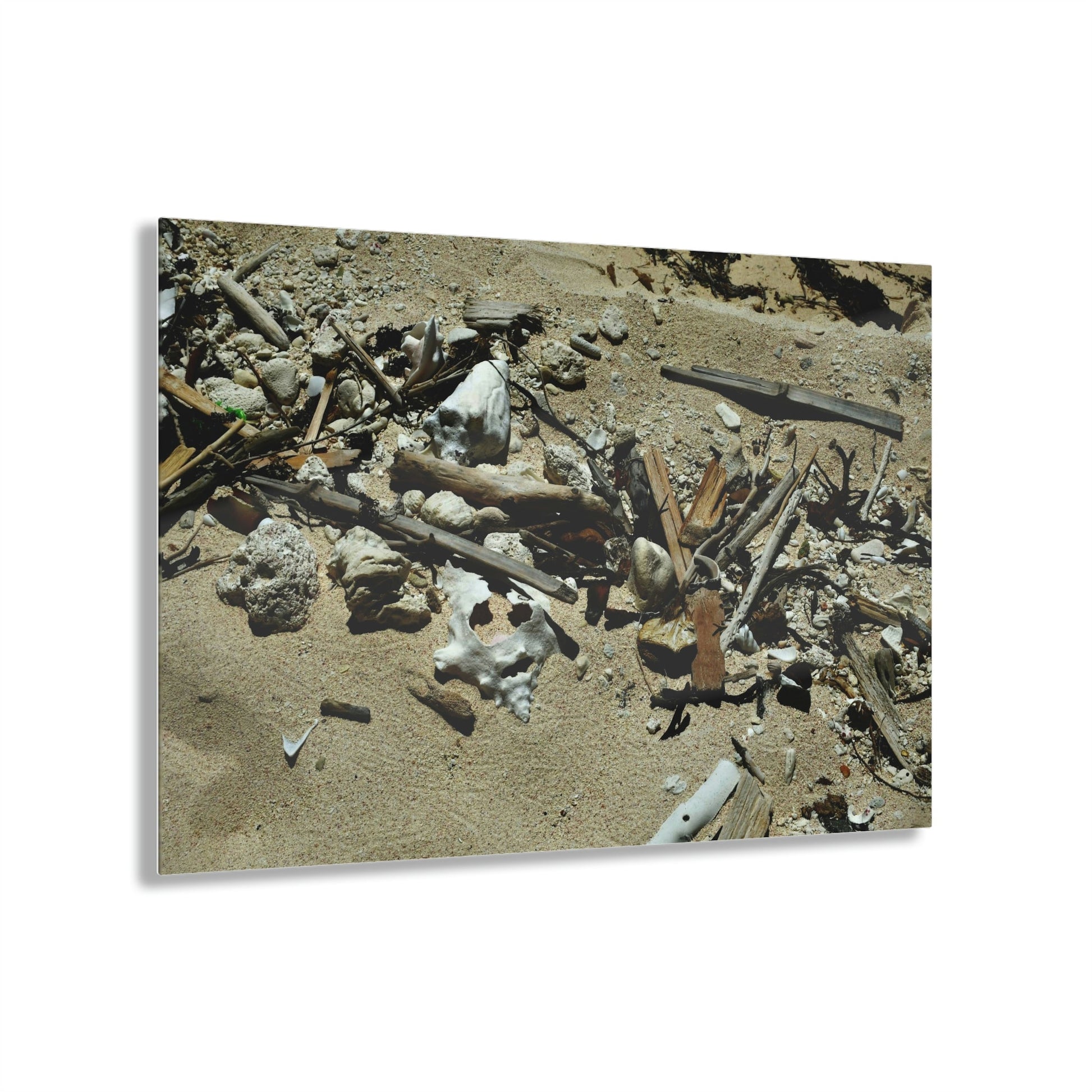 Acrylic Prints - US Made - Ideal for a Stunning Home/Office Decor Ideas - Inspirations from Nature - Remote Mona island - What the Tide Brings - Green Forest Home