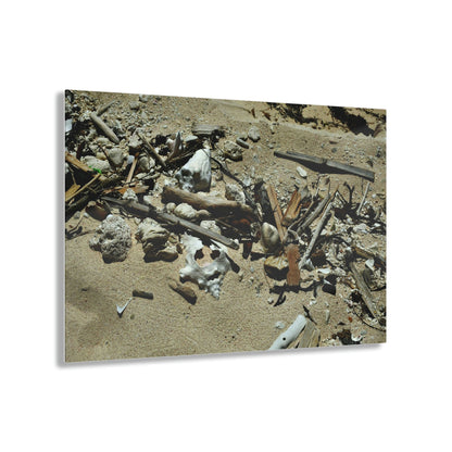 Acrylic Prints - US Made - Ideal for a Stunning Home/Office Decor Ideas - Inspirations from Nature - Remote Mona island - What the Tide Brings - Green Forest Home