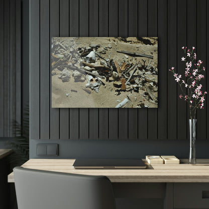 Acrylic Prints - US Made - Ideal for a Stunning Home/Office Decor Ideas - Inspirations from Nature - Remote Mona island - What the Tide Brings - Green Forest Home