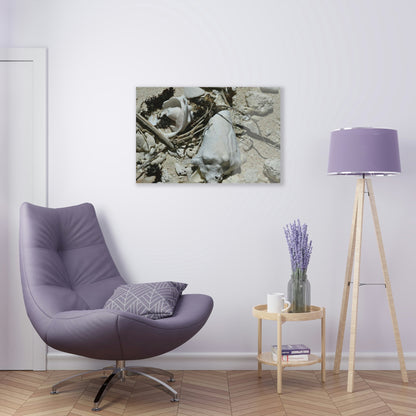 Acrylic Prints - US Made - Ideal for a Stunning Home/Office Decor Ideas - Inspirations from Nature - Remote Mona island - What the Tide Brings & Sea Shells - Green Forest Home