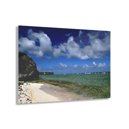 Acrylic Prints - US Made - Ideal for a Stunning Home/Office Decor Ideas - Remote Mona island - Boulders on Pajaros beach - CCMM* - Green Forest Home