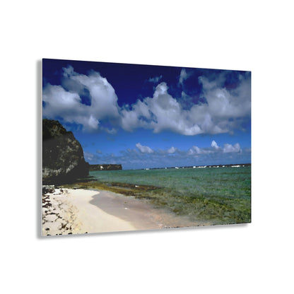 Acrylic Prints - US Made - Ideal for a Stunning Home/Office Decor Ideas - Remote Mona island - Boulders on Pajaros beach - CCMM* - Green Forest Home