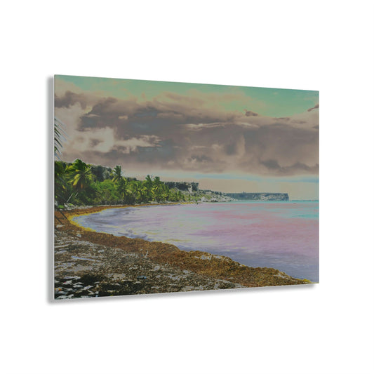 Acrylic Prints - US Made - Ideal for a Stunning Home/Office Decor Ideas - Remote Mona island - Broad view of Plateau & Algage - CCMM* - Green Forest Home
