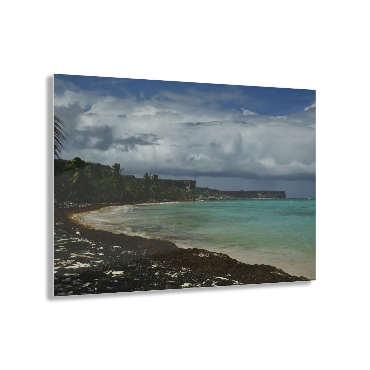 Acrylic Prints - US Made - Ideal for a Stunning Home/Office Decor Ideas - Remote Mona island - Broad view of Plateau & Algage - CCMM* - Green Forest Home