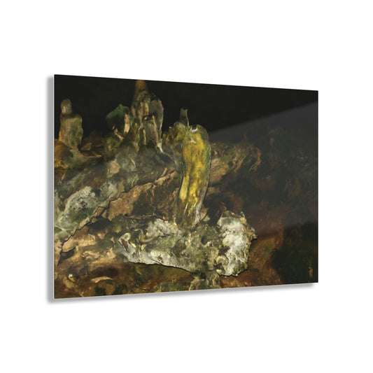 Acrylic Prints - US Made - Ideal for a Stunning Home/Office Decor Ideas - Remote Mona island - Caves Colorful Interiors - CCMM* - Green Forest Home