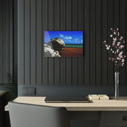 Acrylic Prints - US Made - Ideal for a Stunning Home/Office Decor Ideas - Remote Mona island - Caves Fallen Boulders - CCMM* - Green Forest Home
