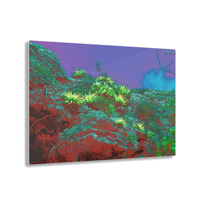 Acrylic Prints - US Made - Ideal for a Stunning Home/Office Decor Ideas - Remote Mona island - Cliff view of bromeliads - CCMM* - Green Forest Home
