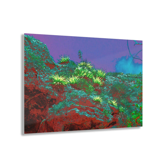 Acrylic Prints - US Made - Ideal for a Stunning Home/Office Decor Ideas - Remote Mona island - Cliff view of bromeliads - CCMM* - Green Forest Home