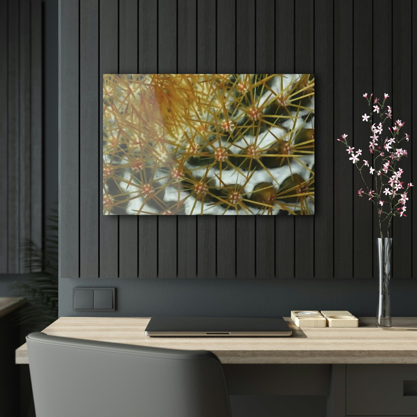Acrylic Prints - US Made - Ideal for a Stunning Home/Office Decor Ideas - Remote Mona island - Closeup of Monas Cactus in the Plateau - CCMM* - Green Forest Home