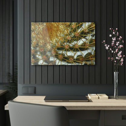 Acrylic Prints - US Made - Ideal for a Stunning Home/Office Decor Ideas - Remote Mona island - Closeup of Monas Cactus in the Plateau - CCMM* - Green Forest Home