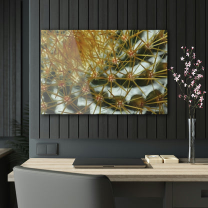 Acrylic Prints - US Made - Ideal for a Stunning Home/Office Decor Ideas - Remote Mona island - Closeup of Monas Cactus in the Plateau - CCMM* - Green Forest Home