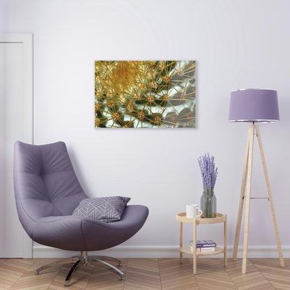 Acrylic Prints - US Made - Ideal for a Stunning Home/Office Decor Ideas - Remote Mona island - Closeup of Monas Cactus in the Plateau - CCMM* - Green Forest Home