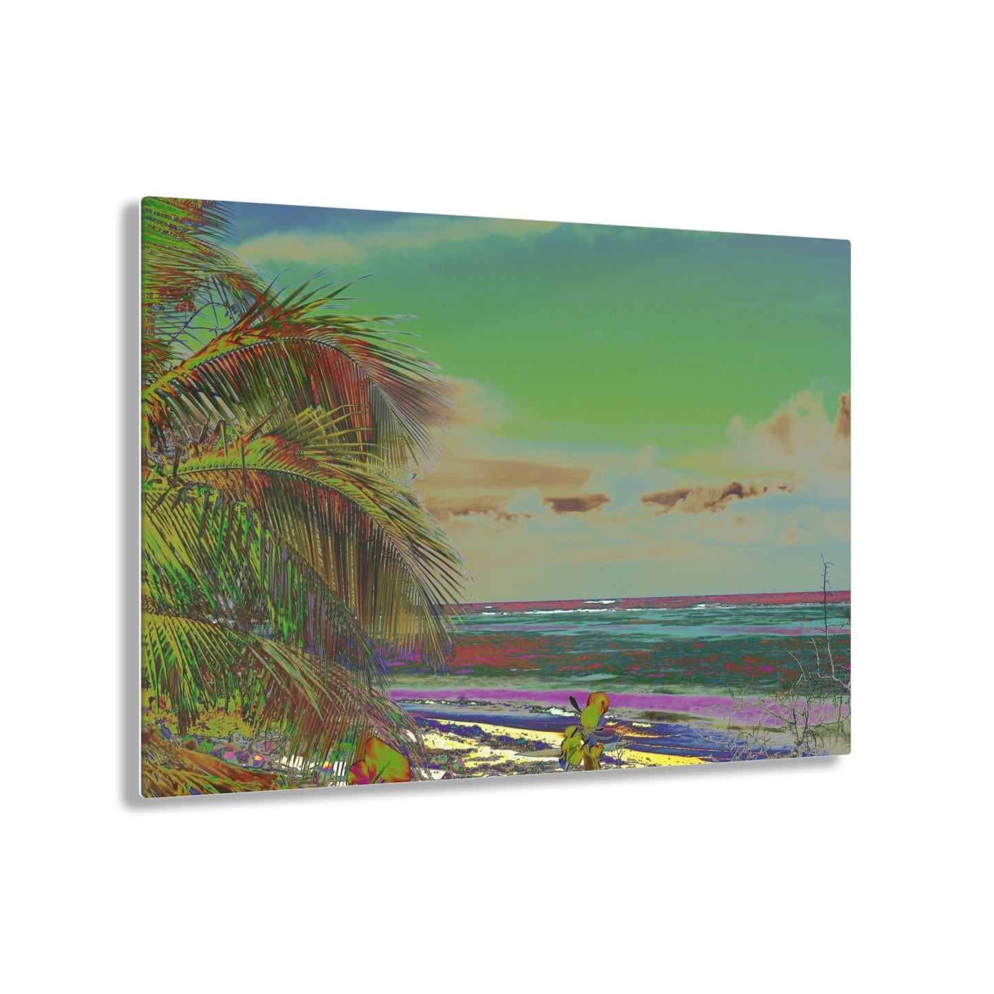 Acrylic Prints - US Made - Ideal for a Stunning Home/Office Decor Ideas - Remote Mona island - Coconut Palms on the Beach - CCMM* - Green Forest Home