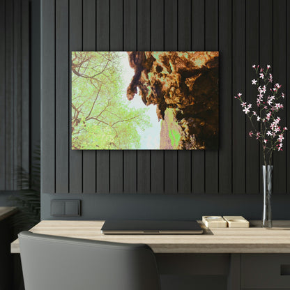 Acrylic Prints - US Made - Ideal for a Stunning Home/Office Decor Ideas - Remote Mona island - Huge Stalactite in a caves entrance - CCMM* - Green Forest Home
