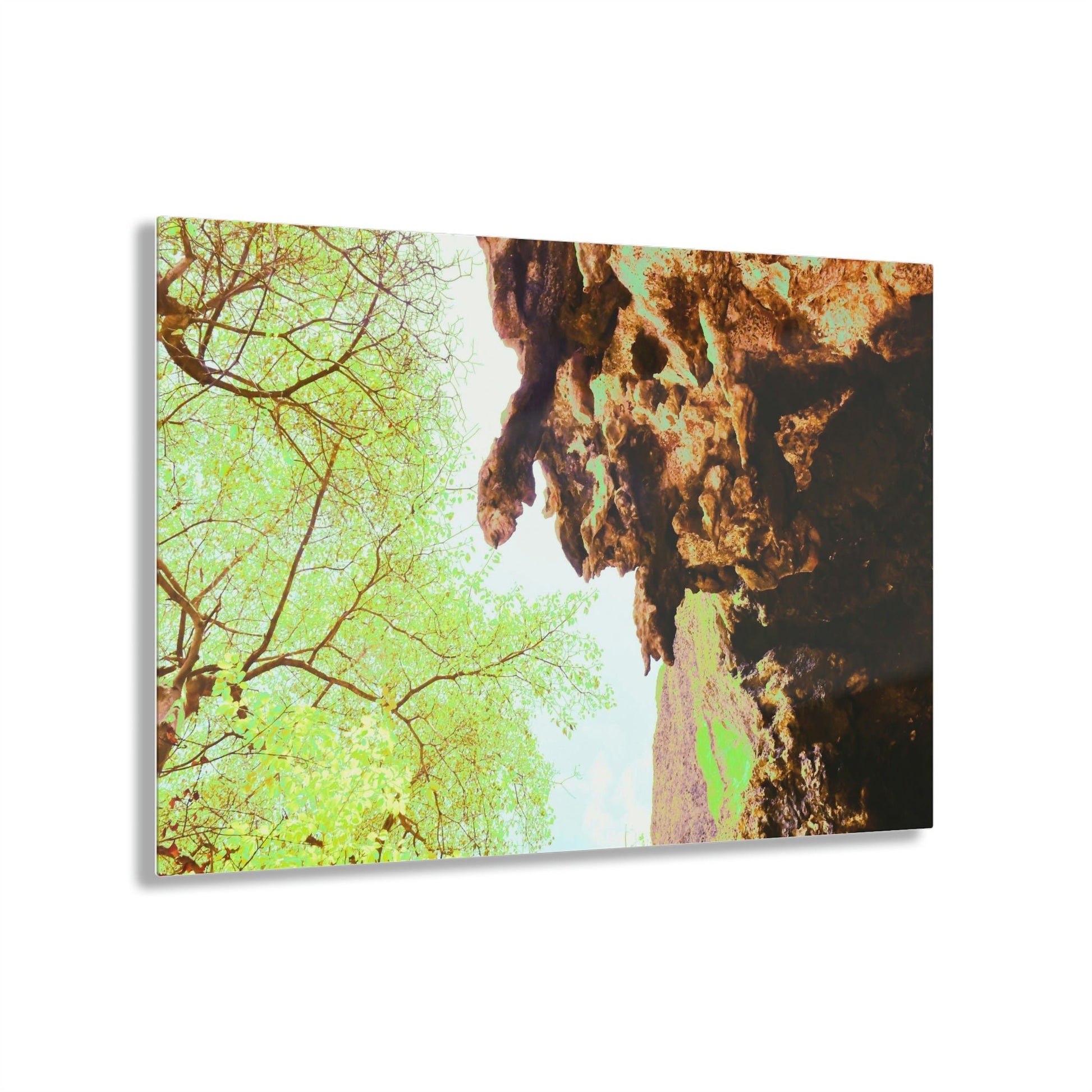 Acrylic Prints - US Made - Ideal for a Stunning Home/Office Decor Ideas - Remote Mona island - Huge Stalactite in a caves entrance - CCMM* - Green Forest Home