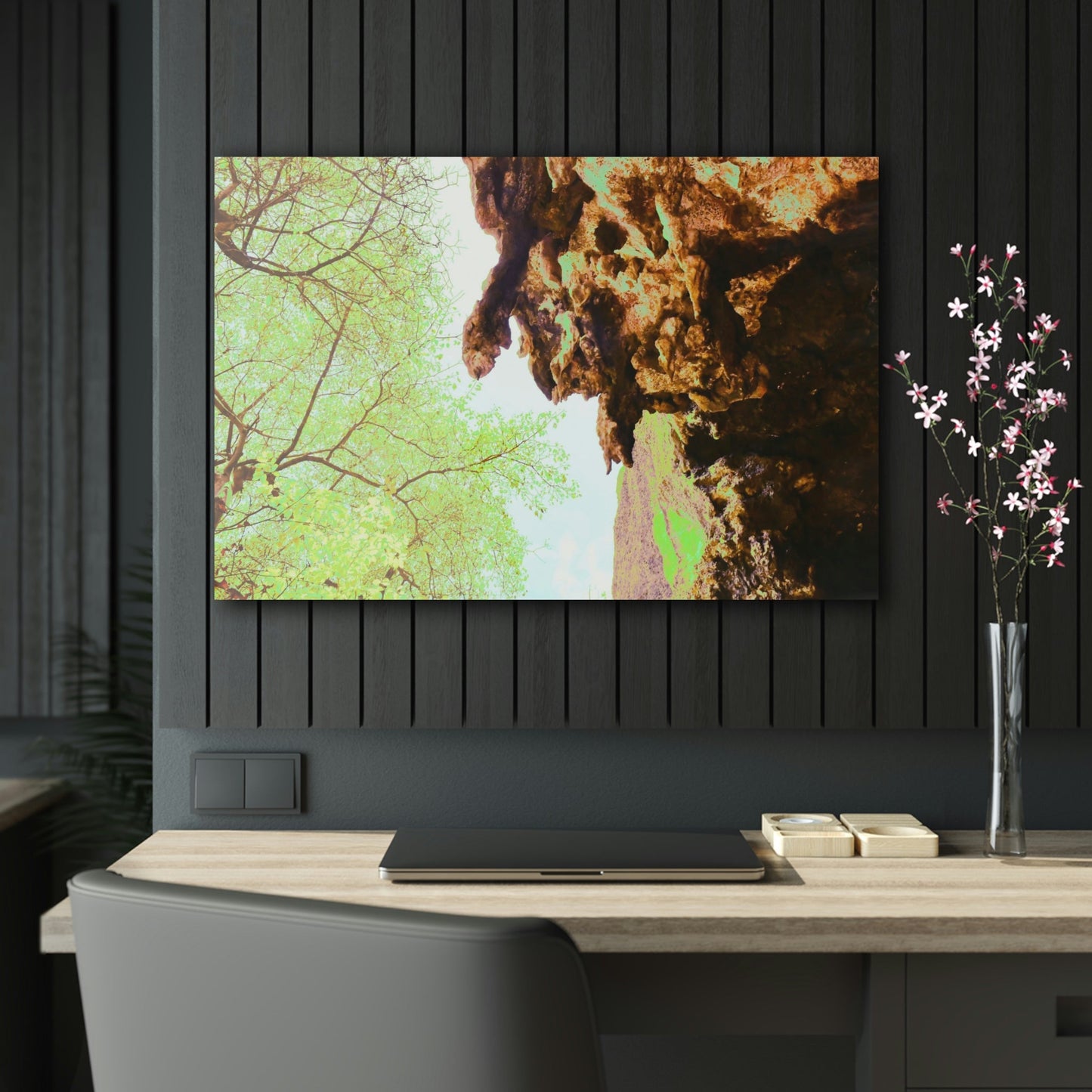 Acrylic Prints - US Made - Ideal for a Stunning Home/Office Decor Ideas - Remote Mona island - Huge Stalactite in a caves entrance - CCMM* - Green Forest Home