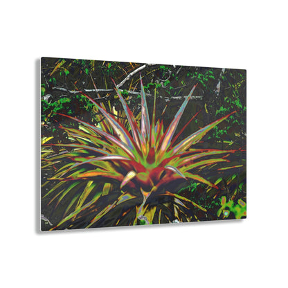 Acrylic Prints - US Made - Ideal for a Stunning Home/Office Decor Ideas - Remote Mona island - Monas Desert Bromeliads - CCMM* - Green Forest Home