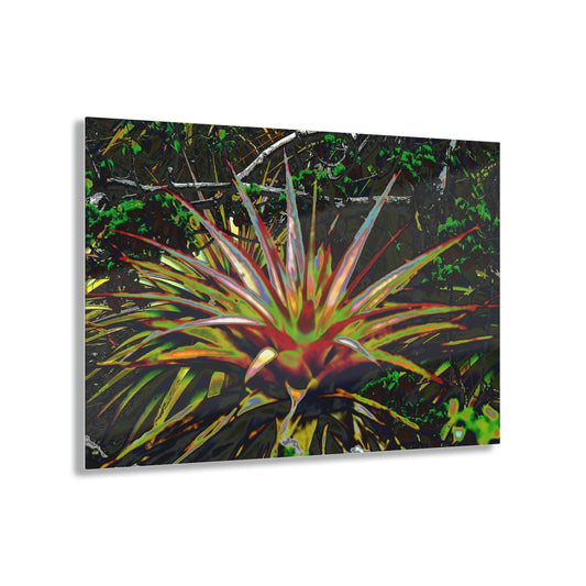 Acrylic Prints - US Made - Ideal for a Stunning Home/Office Decor Ideas - Remote Mona island - Monas Desert Bromeliads - CCMM* - Green Forest Home