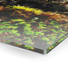 Acrylic Prints - US Made - Ideal for a Stunning Home/Office Decor Ideas - Remote Mona island - Mountain edge in Plateau - CCMM* - Green Forest Home