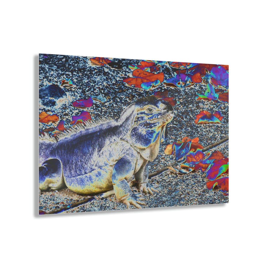 Acrylic Prints - US Made - Ideal for a Stunning Home/Office Decor Ideas - Remote Mona island - Native Mona Iguana - CCMM* - Green Forest Home