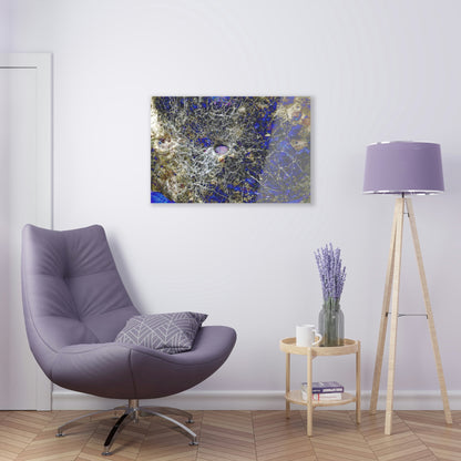 Acrylic Prints - US Made - Ideal for a Stunning Home/Office Decor Ideas - Remote Mona island - Outer cave walls with hole and spider web - CCMM* - Green Forest Home